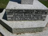 image of grave number 262590